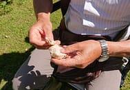 Eduard Scholten Brood breken Aan gesprek geen gebrek