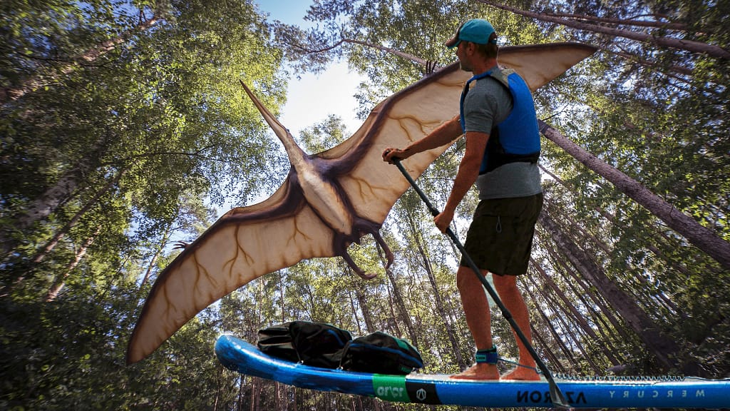 The paddler is dreaming