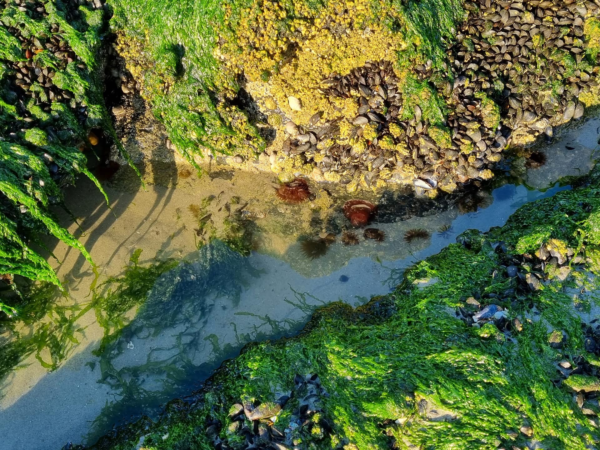 Into the beach